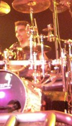 Todd - Lady