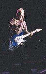 Tommy - Blue Collar Man